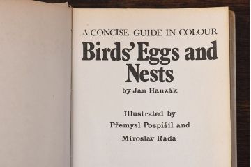 アンティーク雑貨　イギリス　HAMLYN社 A Concise Guide in Colour　Birds'Eggs and Nests　コンパクトハンドブック(洋書、ポケット辞典、本)