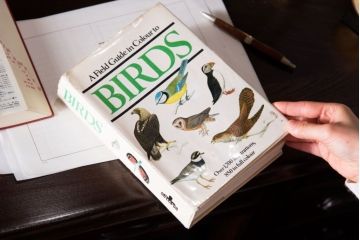 アンティーク雑貨　イギリス　Octpus社 BIRDS カラーイラスト付きフィールドガイドブック(洋書、本)