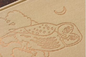 アンティーク雑貨　イギリス　Octpus社 BIRDS カラーイラスト付きフィールドガイドブック(洋書、本)