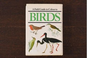 アンティーク雑貨　イギリス　Octpus社 BIRDS カラーイラスト付きフィールドガイドブック(洋書、本)
