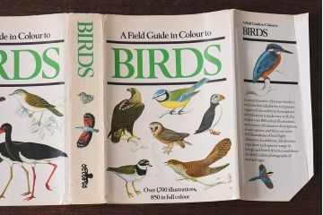 アンティーク雑貨　イギリス　Octpus社 BIRDS カラーイラスト付きフィールドガイドブック(洋書、本)