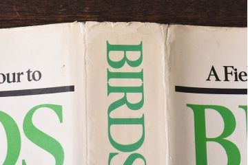 アンティーク雑貨　イギリス　Octpus社 BIRDS カラーイラスト付きフィールドガイドブック(洋書、本)