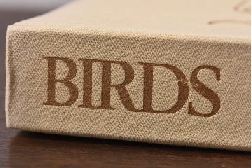 アンティーク雑貨　イギリス　Octpus社 BIRDS カラーイラスト付きフィールドガイドブック(洋書、本)