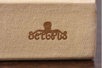 アンティーク雑貨　イギリス　Octpus社 BIRDS カラーイラスト付きフィールドガイドブック(洋書、本)