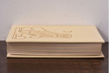 アンティーク雑貨　イギリス　Octpus社 BIRDS カラーイラスト付きフィールドガイドブック(洋書、本)