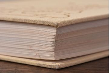 アンティーク雑貨　イギリス　Octpus社 BIRDS カラーイラスト付きフィールドガイドブック(洋書、本)