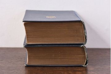 アンティーク雑貨　イギリスアンティーク　CHARLES DICKENS(チャールズ・ディケンズ)　本(洋書、英字本、小説)2冊セット(1)