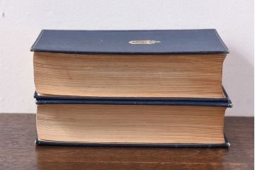 アンティーク雑貨　イギリスアンティーク　CHARLES DICKENS(チャールズ・ディケンズ)　本(洋書、英字本、小説)2冊セット(1)