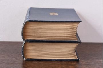 アンティーク雑貨　イギリスアンティーク　CHARLES DICKENS(チャールズ・ディケンズ)　本(洋書、英字本、小説)2冊セット(1)