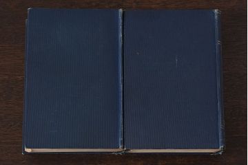 アンティーク雑貨　イギリスアンティーク　CHARLES DICKENS(チャールズ・ディケンズ)　本(洋書、英字本、小説)2冊セット(1)