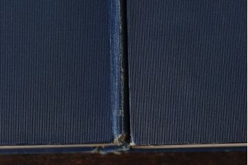 アンティーク雑貨　イギリスアンティーク　CHARLES DICKENS(チャールズ・ディケンズ)　本(洋書、英字本、小説)2冊セット(1)