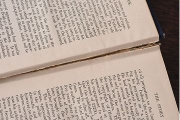 アンティーク雑貨　イギリスアンティーク　CHARLES DICKENS(チャールズ・ディケンズ)　本(洋書、英字本、小説)2冊セット(1)