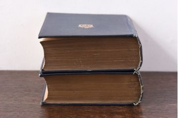 アンティーク雑貨　イギリスアンティーク　CHARLES DICKENS(チャールズ・ディケンズ)　本(洋書、英字本、小説)2冊セット(2)