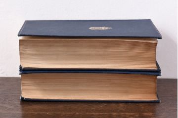 アンティーク雑貨　イギリスアンティーク　CHARLES DICKENS(チャールズ・ディケンズ)　本(洋書、英字本、小説)2冊セット(2)