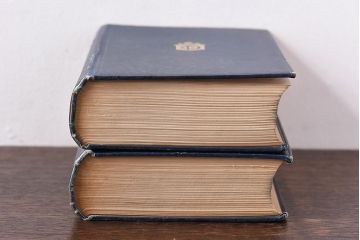 アンティーク雑貨　イギリスアンティーク　CHARLES DICKENS(チャールズ・ディケンズ)　本(洋書、英字本、小説)2冊セット(2)