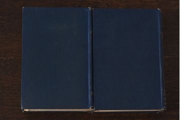 アンティーク雑貨　イギリスアンティーク　CHARLES DICKENS(チャールズ・ディケンズ)　本(洋書、英字本、小説)2冊セット(2)