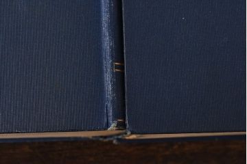 アンティーク雑貨　イギリスアンティーク　CHARLES DICKENS(チャールズ・ディケンズ)　本(洋書、英字本、小説)2冊セット(2)