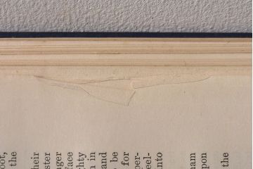 アンティーク雑貨　イギリスアンティーク　CHARLES DICKENS(チャールズ・ディケンズ)　本(洋書、英字本、小説)2冊セット(2)