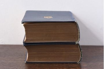 アンティーク雑貨　イギリスアンティーク　CHARLES DICKENS(チャールズ・ディケンズ)　本(洋書、英字本、小説)2冊セット(3)