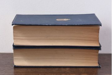 アンティーク雑貨　イギリスアンティーク　CHARLES DICKENS(チャールズ・ディケンズ)　本(洋書、英字本、小説)2冊セット(3)