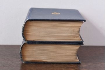 アンティーク雑貨　イギリスアンティーク　CHARLES DICKENS(チャールズ・ディケンズ)　本(洋書、英字本、小説)2冊セット(3)