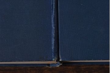 アンティーク雑貨　イギリスアンティーク　CHARLES DICKENS(チャールズ・ディケンズ)　本(洋書、英字本、小説)2冊セット(3)