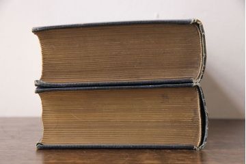 アンティーク雑貨　イギリスアンティーク　CHARLES DICKENS(チャールズ・ディケンズ)　本(洋書、英字本、小説)2冊セット