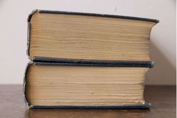 アンティーク雑貨　イギリスアンティーク　CHARLES DICKENS(チャールズ・ディケンズ)　本(洋書、英字本、小説)2冊セット