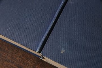 アンティーク雑貨　イギリスアンティーク　CHARLES DICKENS(チャールズ・ディケンズ)　本(洋書、英字本、小説)2冊セット