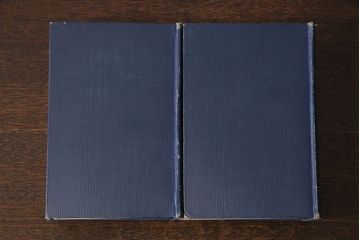 アンティーク雑貨　英国アンティーク　CHARLES DICKENS(チャールズ・ディケンズ)　洋書(本、英字本、小説)2冊セット(1)