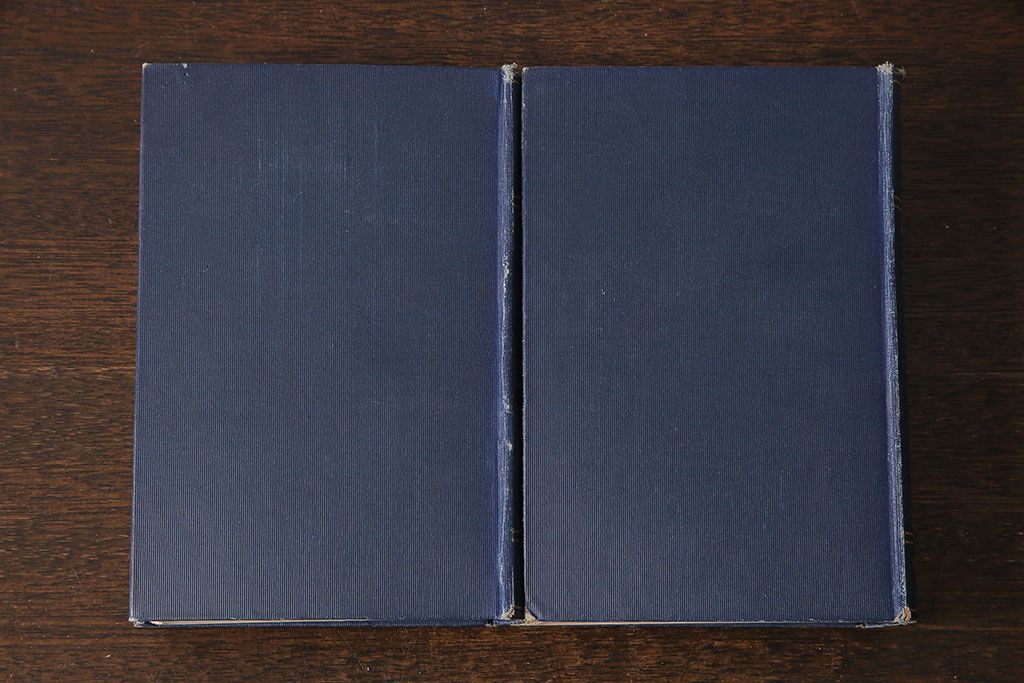 アンティーク雑貨　英国アンティーク　CHARLES DICKENS(チャールズ・ディケンズ)　洋書(本、英字本、小説)2冊セット(1)