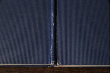 アンティーク雑貨　英国アンティーク　CHARLES DICKENS(チャールズ・ディケンズ)　洋書(本、英字本、小説)2冊セット(1)