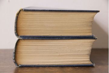 アンティーク雑貨　英国アンティーク　CHARLES DICKENS(チャールズ・ディケンズ)　洋書(本、英字本、小説)2冊セット(2)