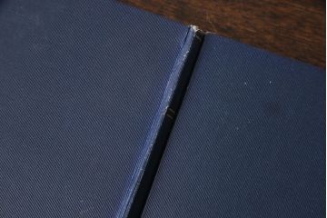 アンティーク雑貨　英国アンティーク　CHARLES DICKENS(チャールズ・ディケンズ)　洋書(本、英字本、小説)2冊セット(2)