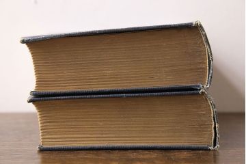 アンティーク雑貨　英国アンティーク　CHARLES DICKENS(チャールズ・ディケンズ)　洋書(本、英字本、小説)2冊セット(3)