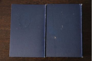 アンティーク雑貨　英国アンティーク　CHARLES DICKENS(チャールズ・ディケンズ)　洋書(本、英字本、小説)2冊セット(3)