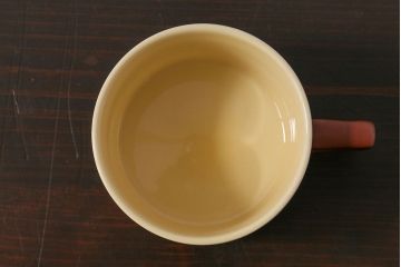 イギリスビンテージ　HORNSEA(ホーンジー)　CINNAMON(シナモン)　カップ&ソーサー1客