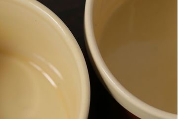 イギリスビンテージ　HORNSEA(ホーンジー)　CINNAMON(シナモン)　カップ&ソーサー&プレート　トリオ2客(1)