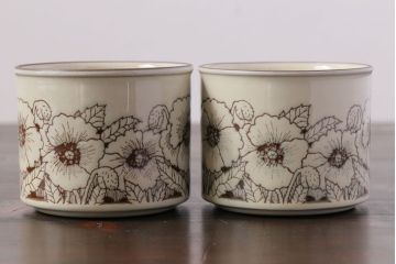 アンティーク雑貨　イギリスビンテージ　HORNSEA(ホーンジー)　Cornrose(コーンローズ)　カップ&ソーサー2客セット(2)