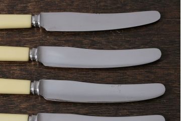 アンティーク雑貨　イギリスビンテージ　SHEFFIELD(シェフィールド)　様々な食器と馴染みやすいバターナイフ6本セット
