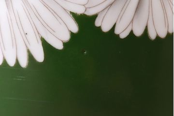 アンティーク雑貨　オールドノリタケ・則武(日陶) 緑地　白菊文様　バイカラーがおしゃれな壱型火鉢(手あぶり、鉢カバー、傘立て)