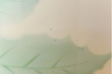 アンティーク雑貨　ノリタケ・則武(日陶)　楓の図　シンプルなデザインの火鉢(手あぶり、鉢カバー)