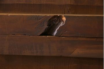 アンティーク家具　和製アンティーク　ヒノキ材　和モダンスタイルにおすすめな美濃帳場箪笥(収納棚、キャビネット)