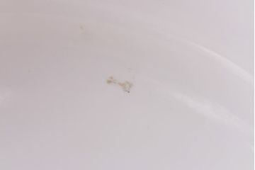 花菱模様の装飾から和の雰囲気漂うシェード(電笠、天井照明)