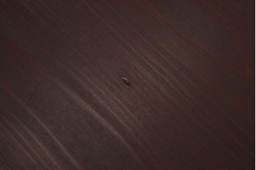 アンティーク家具　和製アンティーク　渋い色味が魅力的な箪笥ローボード(チェスト)