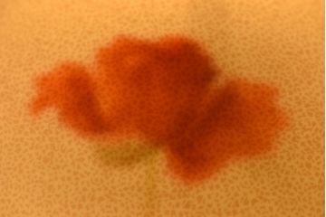 オールドノリタケ・則武(日陶)　ポピー(芥子)　照らすと透ける模様が魅力の電笠(天  井照明、シェード)