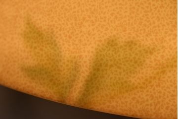 オールドノリタケ・則武(日陶)　ポピー(芥子)　照らすと透ける模様が魅力の電笠(天  井照明、シェード)