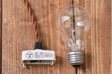 オールドノリタケ・則武(日陶)　ポピー(芥子)　照らすと透ける模様が魅力の電笠(天  井照明、シェード)