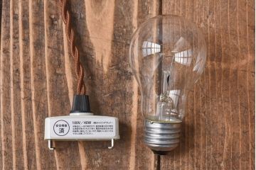 オールドノリタケ・則武(日陶)　やわらかな色合いが魅力的な電笠(天井照明、シェード)