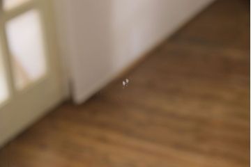 アンティーク雑貨　ビンテージ　植物をモチーフにした彫刻が魅力の木製ウォールミラー(壁掛け・鏡)